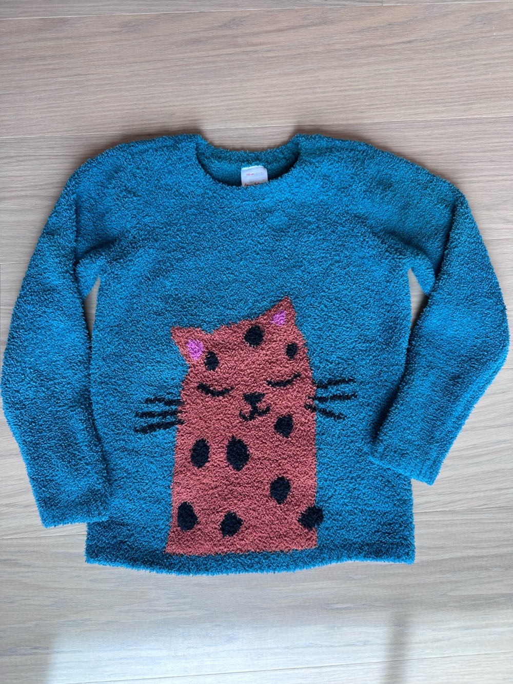 Hanna Andersson Teal Fuzzy Cat Crewneck Sweater